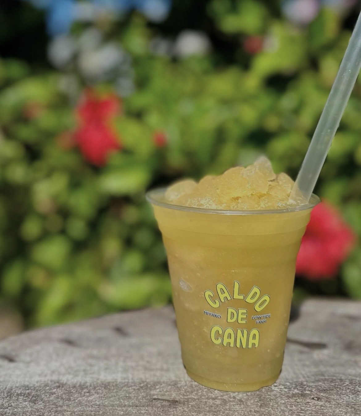 Caldo de Cana drink near hibiscus flowers