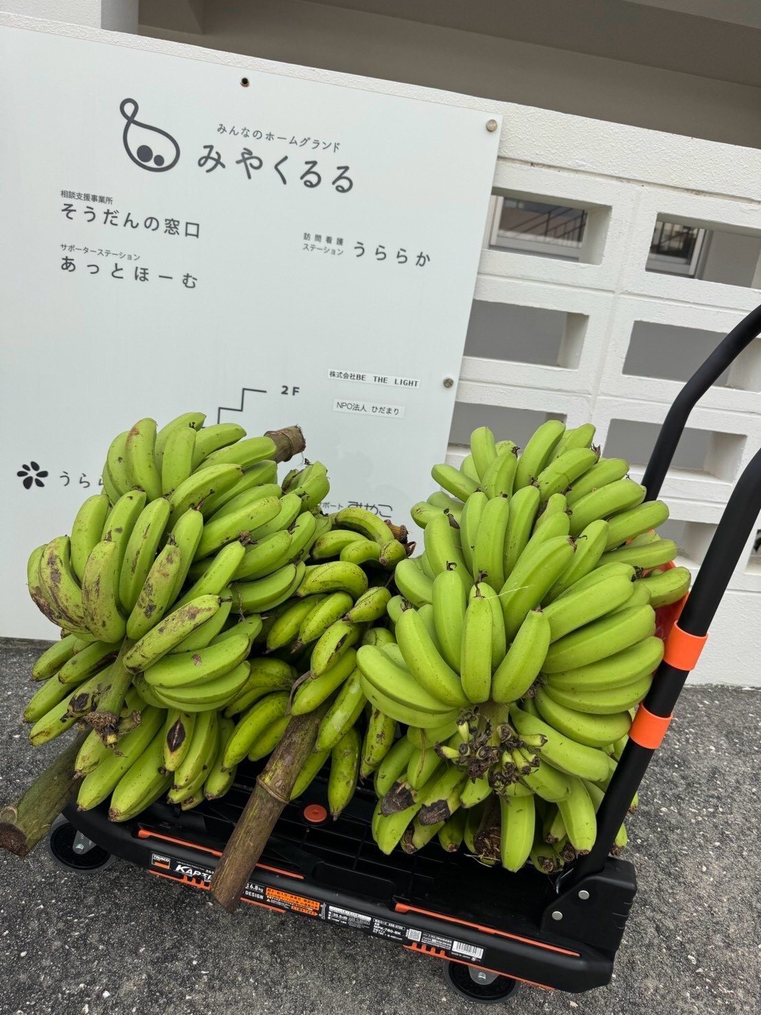 Bananas and みゃくるる sign for community sharing in Miyakojima