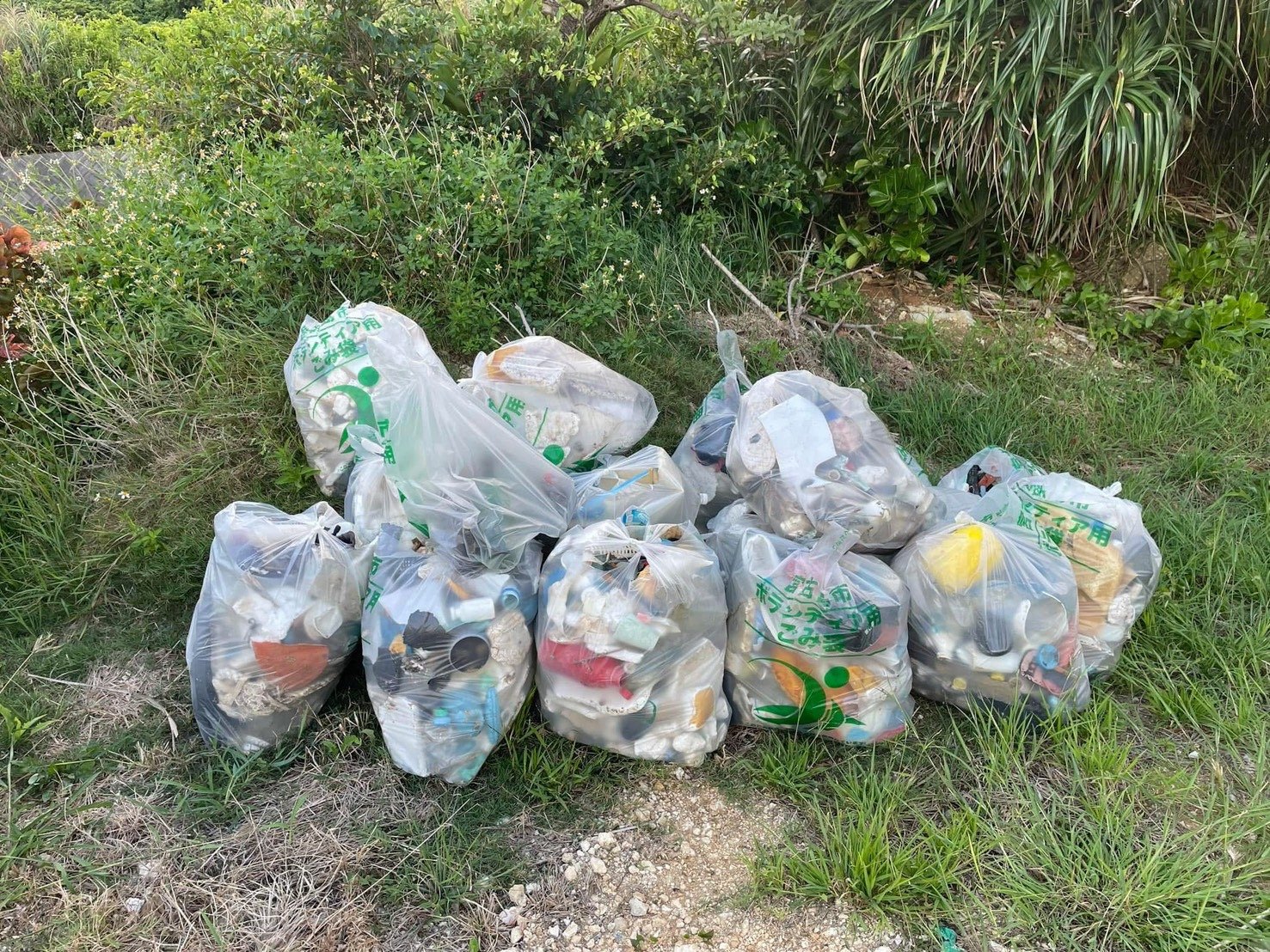 Collected beach cleanup bags in Miyakojima