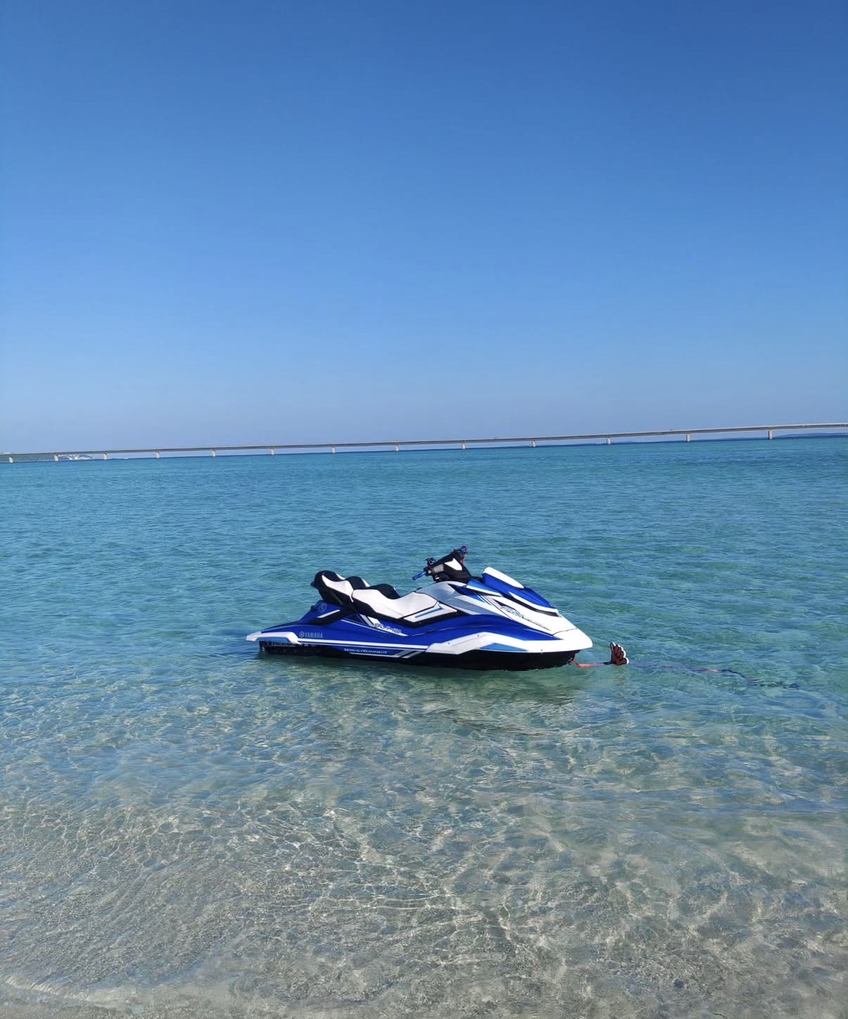 NII Marine