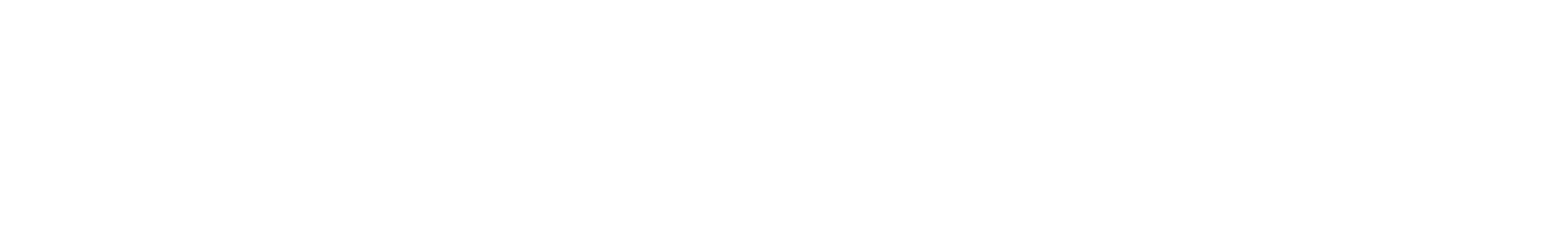 TOPPURI